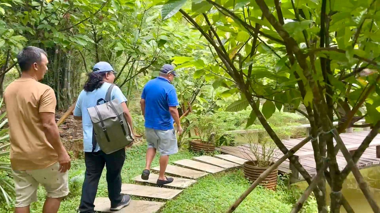 CACAO PLANTATION na Mala Resort sa Ganda Pero 100% Kumikita sa Pag-gawa at Pag Benta ng Tableya!