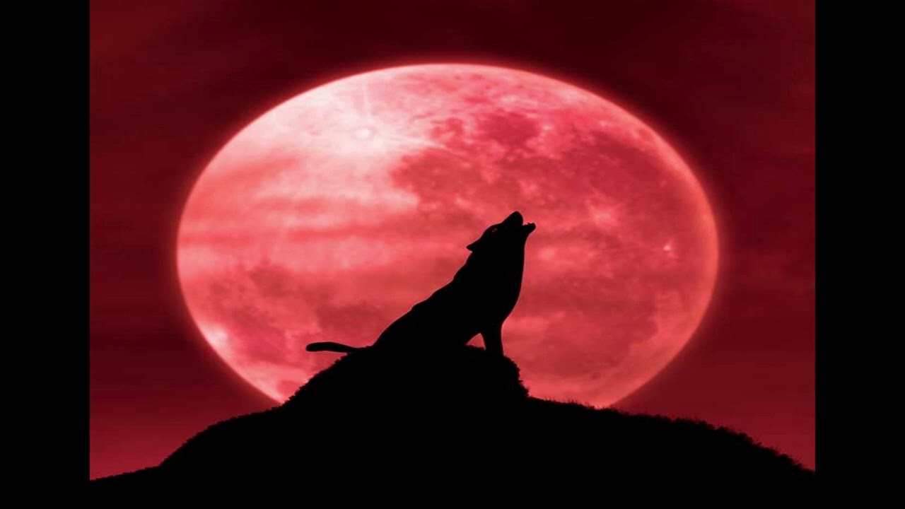 Wolf Moon - (The Crow, Metxas KillMaster, Chechu, 3L13)