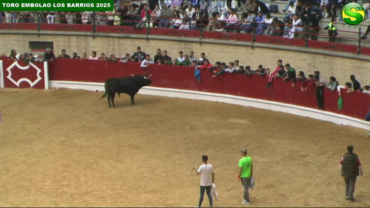 Toro Embolao Los Barrios Domingo de Resurreción