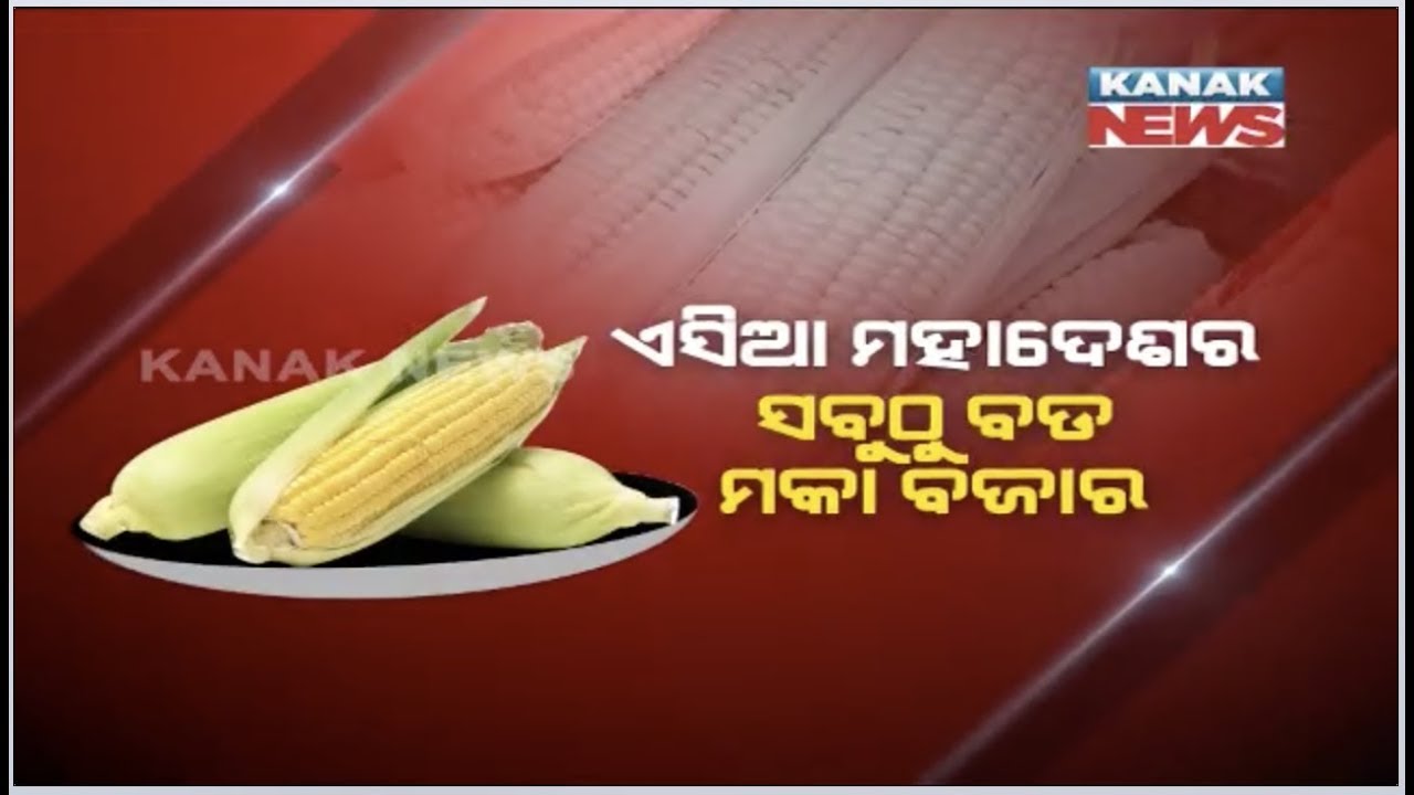 See The Report About Asia Biggest Corn Market Nabarangpur