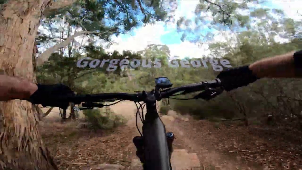Some of the best Trails at Plenty Gorge