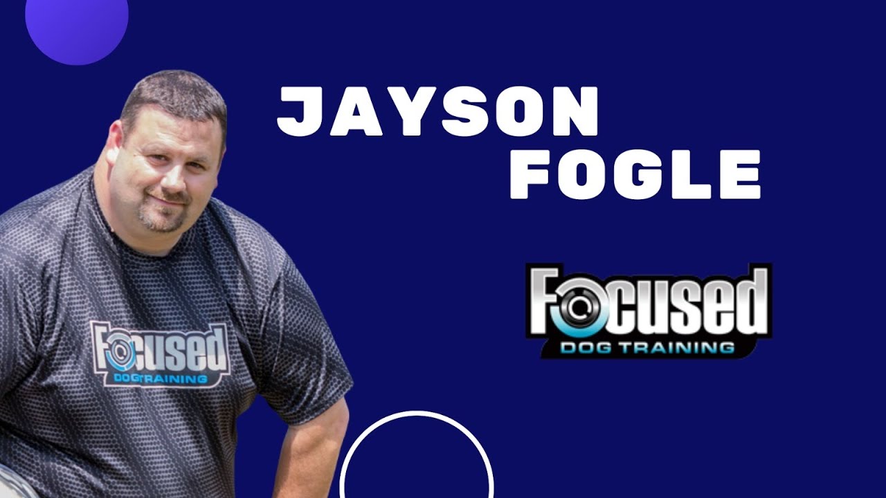 How Pet Biz Experts Revolutionized My Dog Training Business | Jayson Fogel of Focused Dog Training