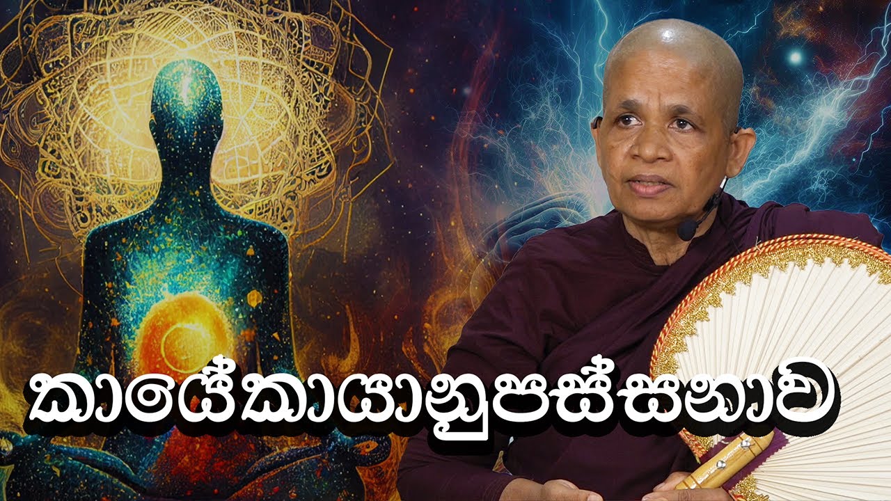 පූජනීය බෝයගනේ ධම්ම මෙත්තා මෙහෙණීන් වහන්සේ (2024-08-07 pm)