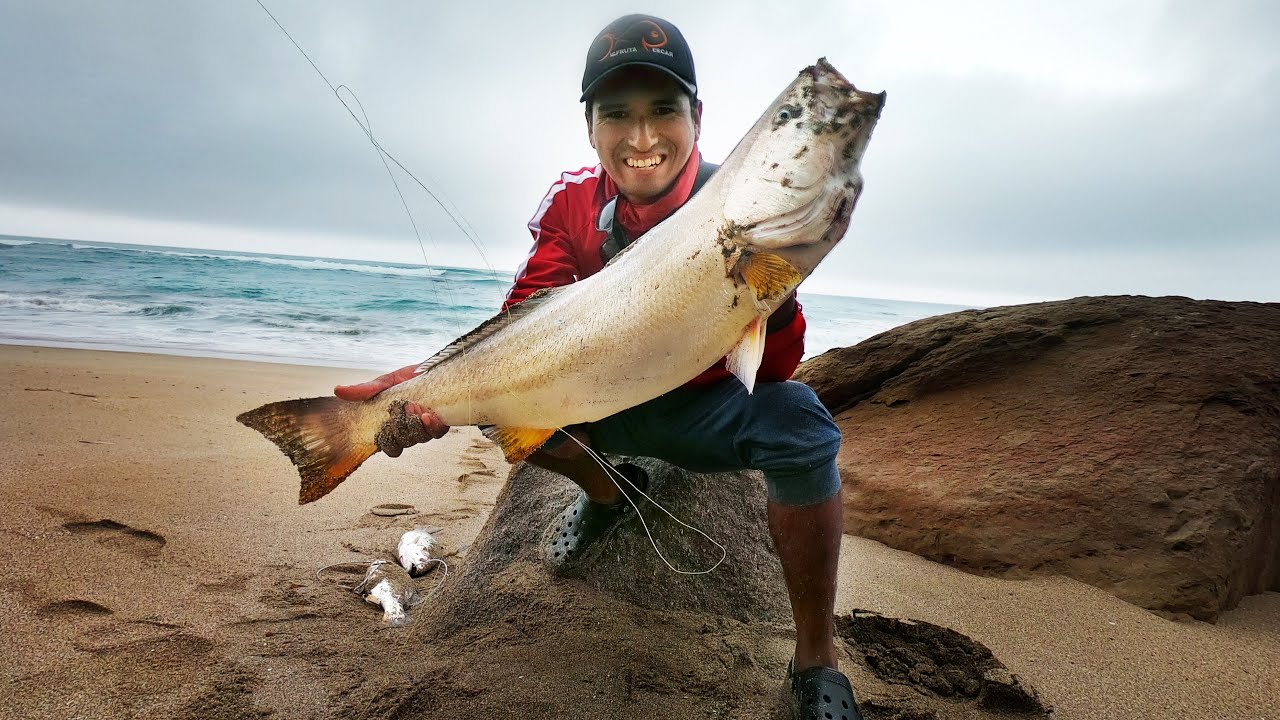 188 - Espectaculo de corvinas y lenguado de 8kg