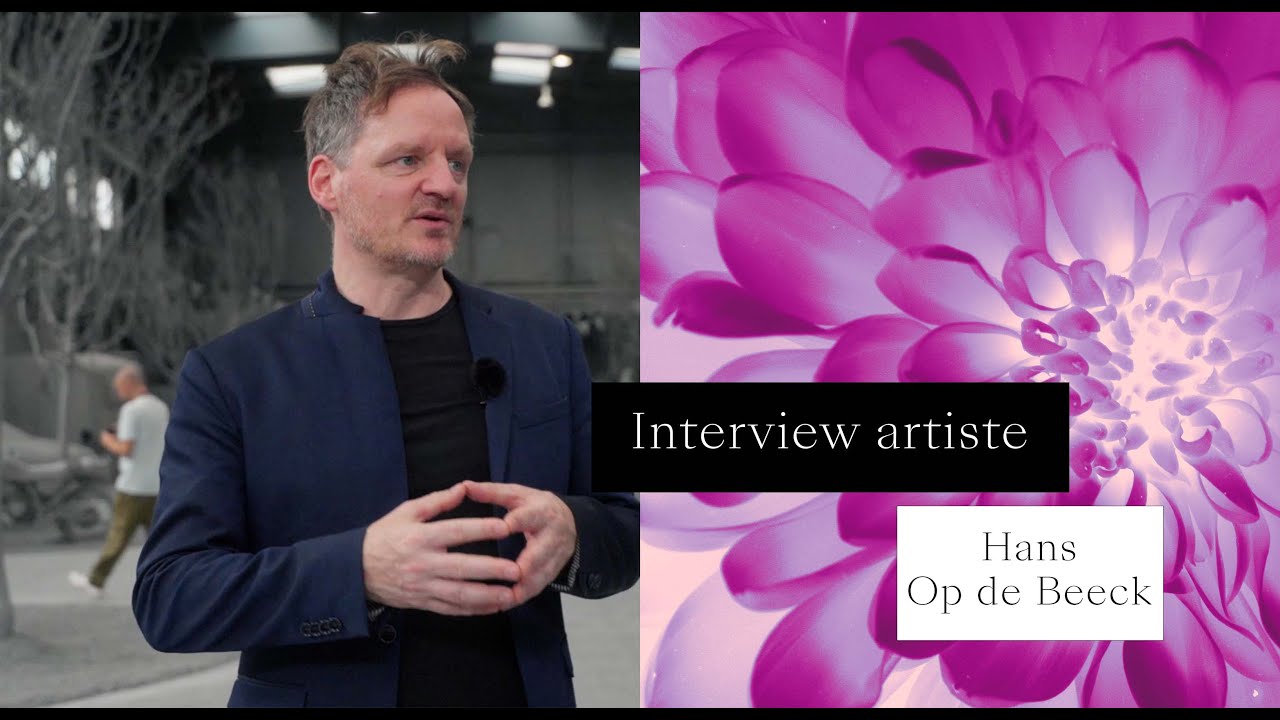 Interview Hans Op de Beeck