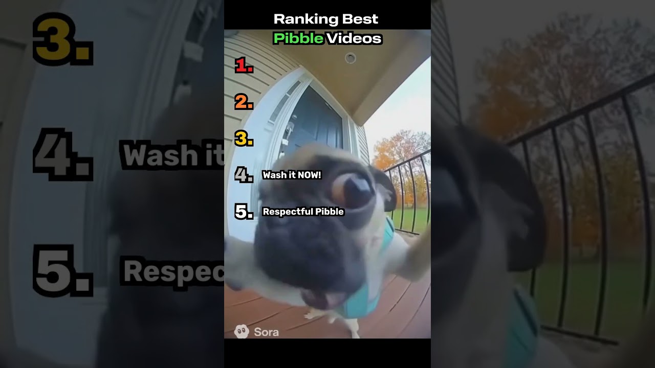 Ranking Best Pibble Videos 