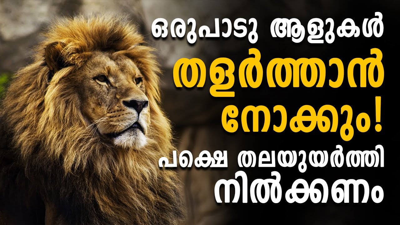 ATTITUDE IS EVERYTHING | Powerful Malayalam Motivation