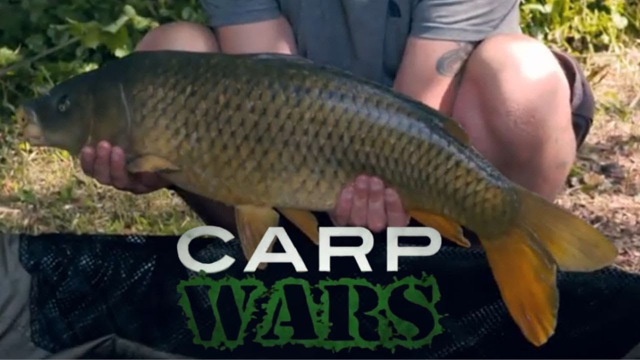 Carp wars EP1 Que la compétition commence !