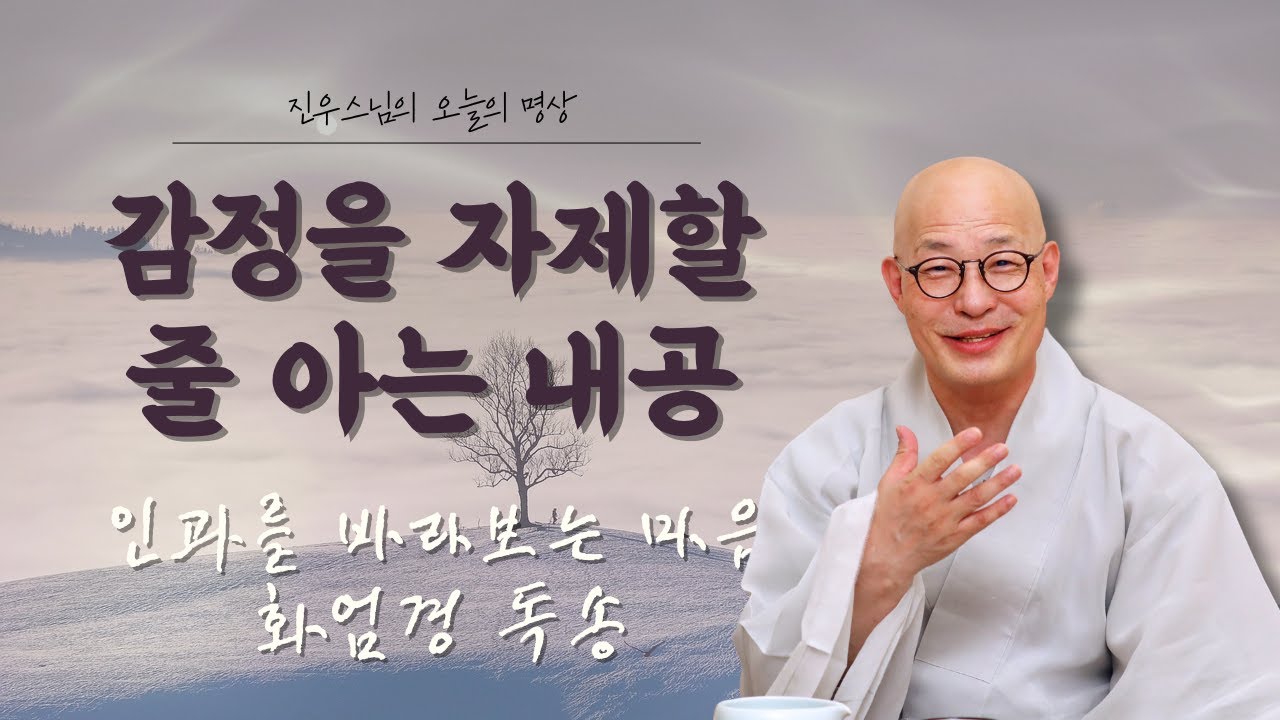 이럴 때, 싸워야 할까 말아야 할까? - 인과를 바라보는 마음 - 화엄경 독송 #오늘의명상#진우스님#싸움과인욕#감정다스리기#인과의지혜#업장바라보기#중도의삶