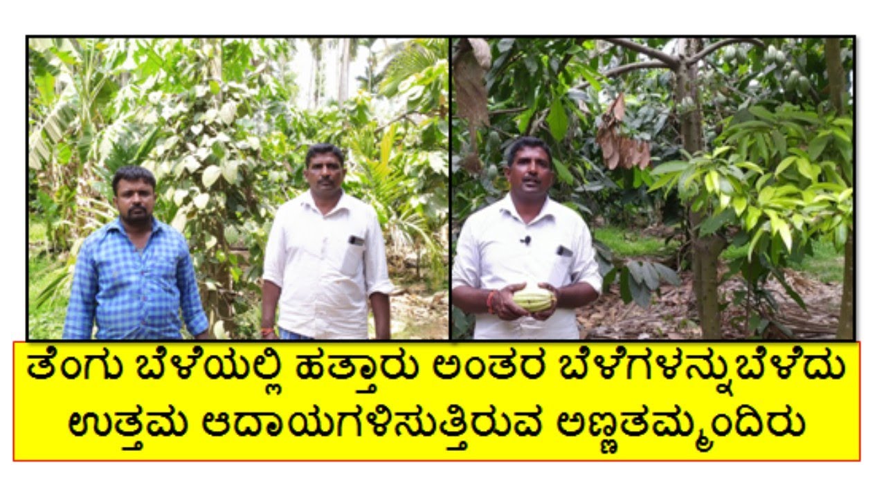ತೆಂಗು ಬೆಳೆಯಲ್ಲಿ ಕಡಿಮೆ ವೆಚ್ಚದಲ್ಲಿ ಹತ್ತಾರು ಬೆಳೆಗಳನ್ನು ಬೆಳೆದು ಗರಿಷ್ಠ ಆದಾಯಗಳಿಸುತ್ತಿರುವ ಅಣ್ಣತಮ್ಮಂದಿರು