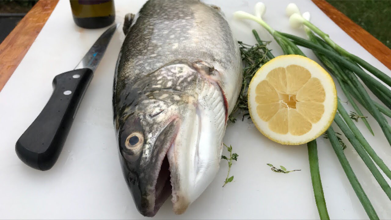 CATCH & COOK: Grilled Trout!!!