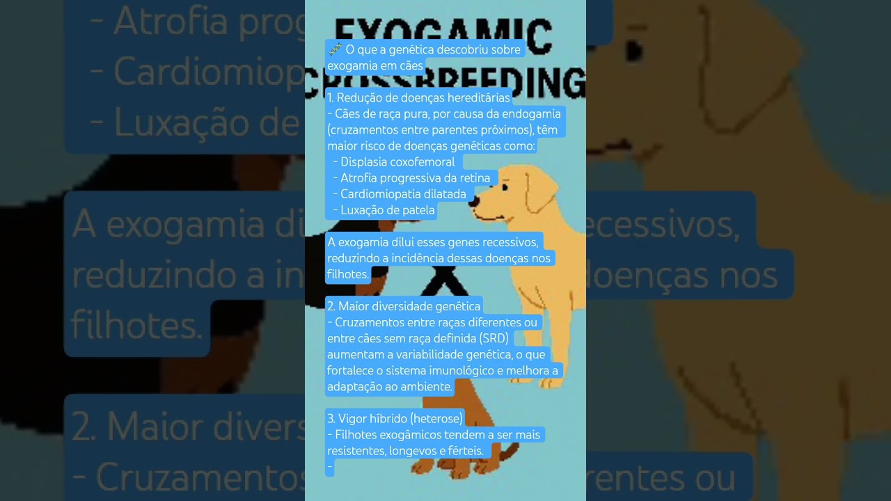 O que a gen&eacute;tica 🧬 descobriu  sobre a exogamia 🧬🐕