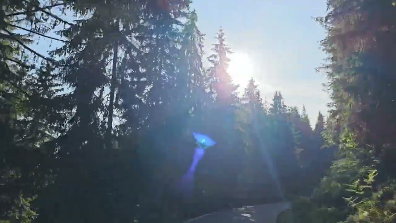 Transursoaia DN1R - 22.06.2025