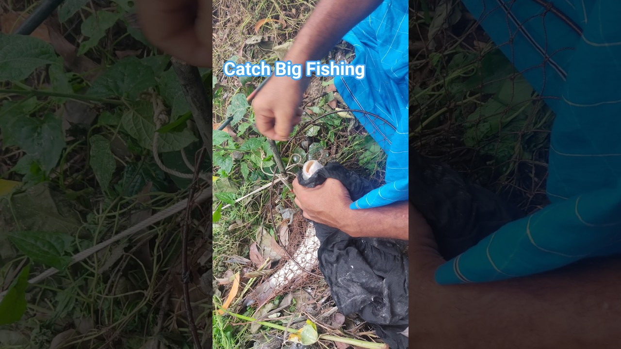 🎣 How to Hold a Fish Properly After Hooking! | Big Catch FishingTechnique@AdiFishman#fish#short