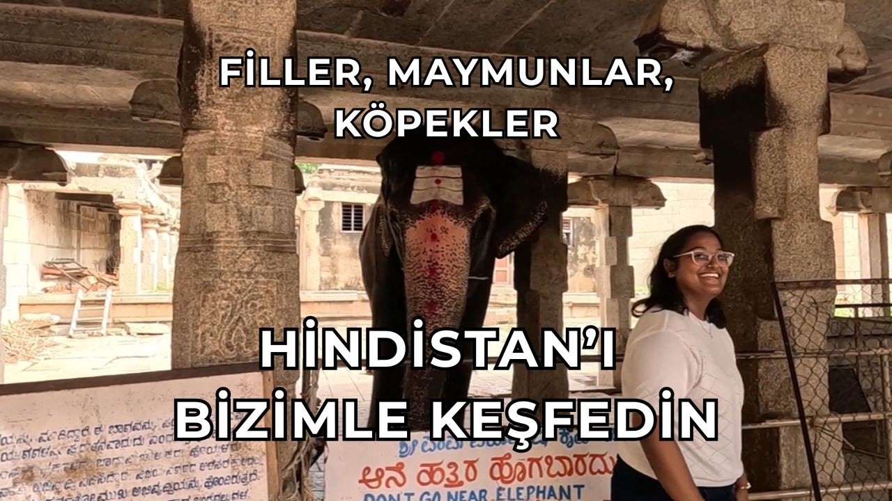 Hampi’nin Kalbi: Virupaksha Tapınağı ve Tarihi Pazar Yeri
