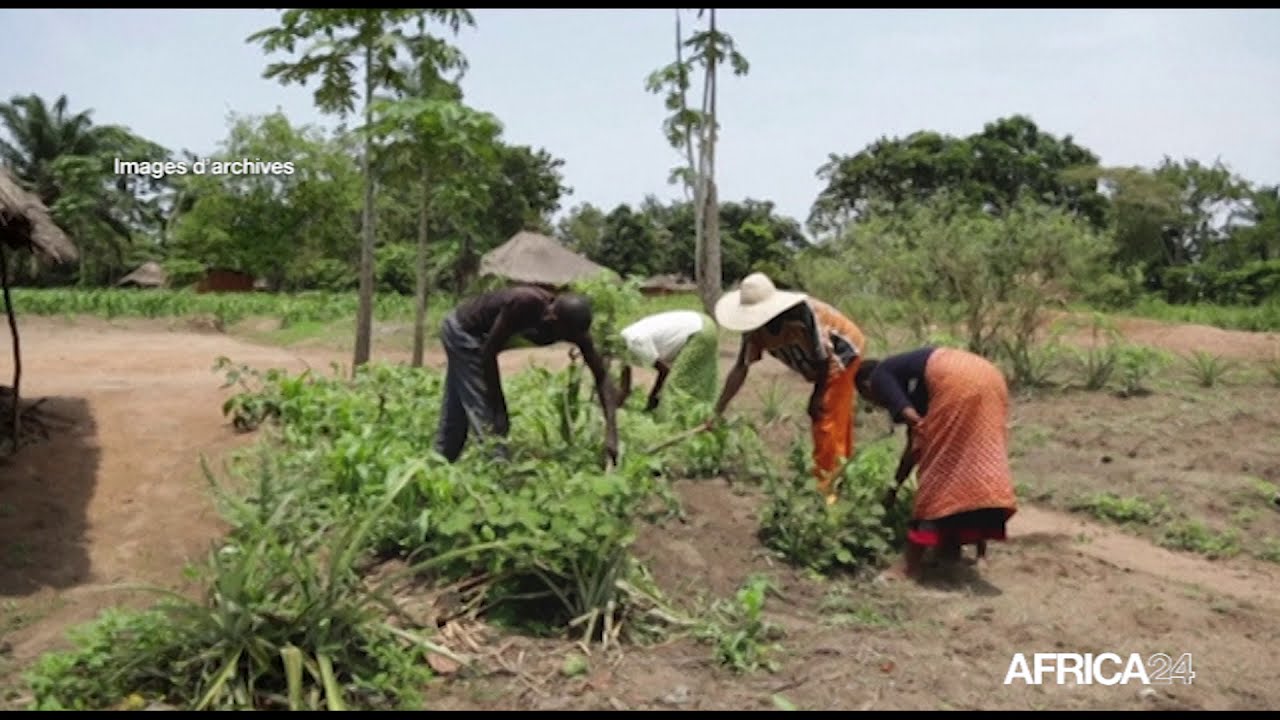 RD Congo, PLUS DE 21 MILLIONS DE PERSONNES EN SITUATION D&rsquo;INS&Eacute;CURIT&Eacute; ALIMENTAIRE
