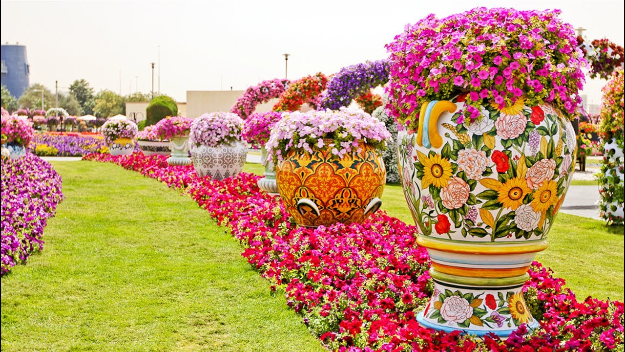 Top 10 Most Beautiful Flower Fields in the World