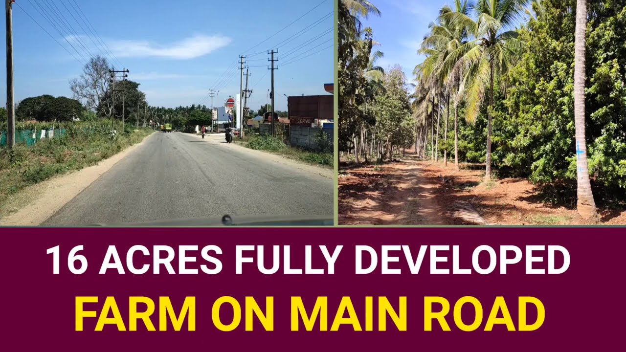 Fully Developed 16 Acres Farm for Sale | On Gadigge Main Road