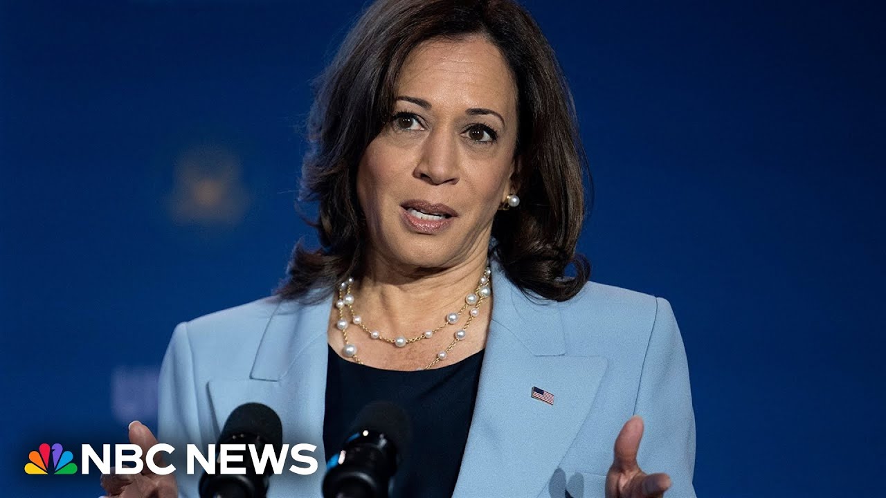 WATCH: Harris holds campaign rally in Wisconsin as she earns delegate support