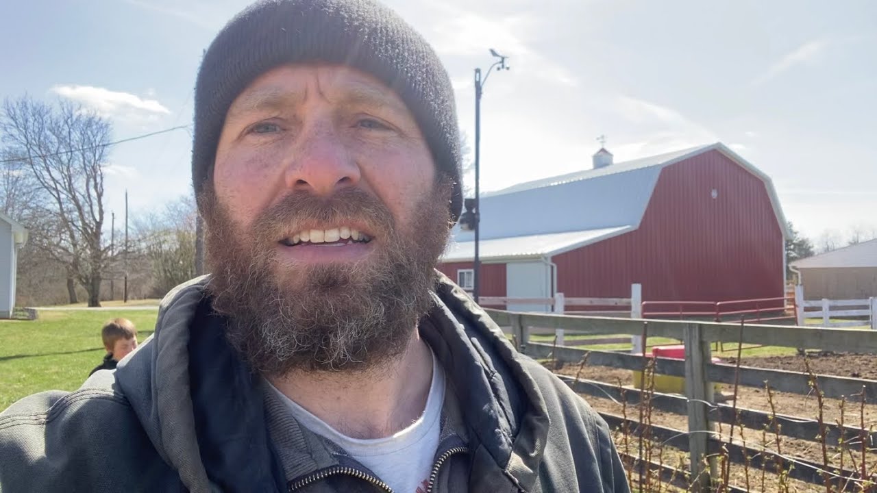 St. Croix Sheep - Tips For Working Rams
