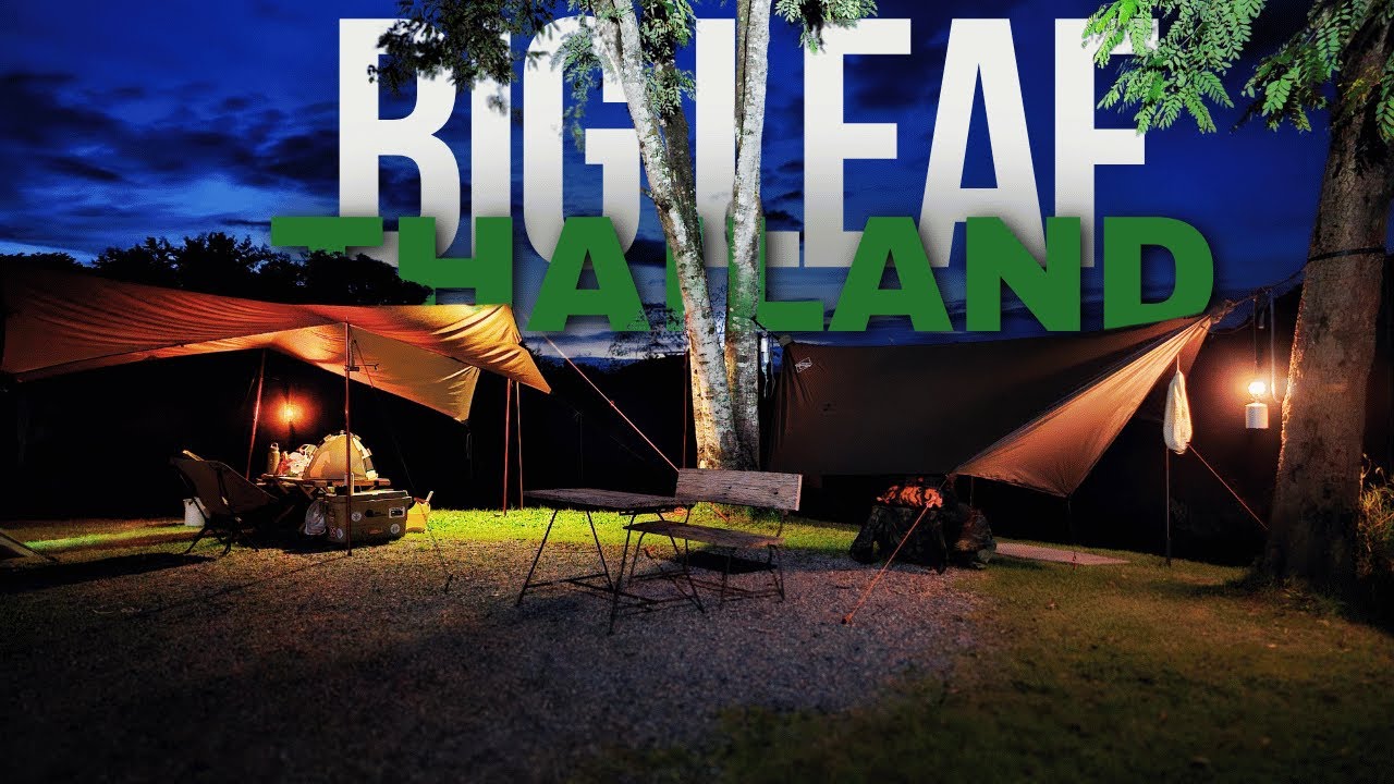 6 Days Camping Big Leaf Campsite