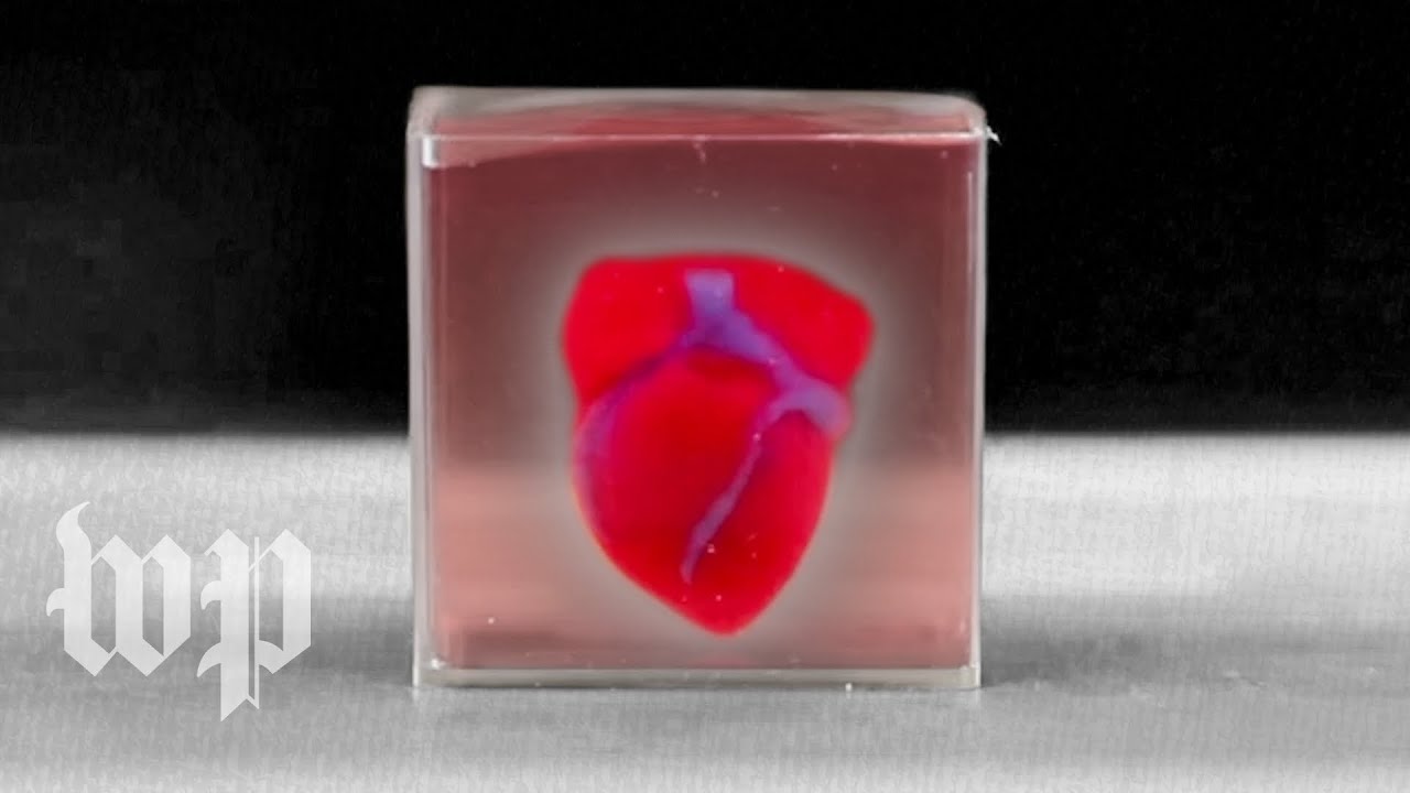 Researchers create 3-D printed heart using patient's cells
