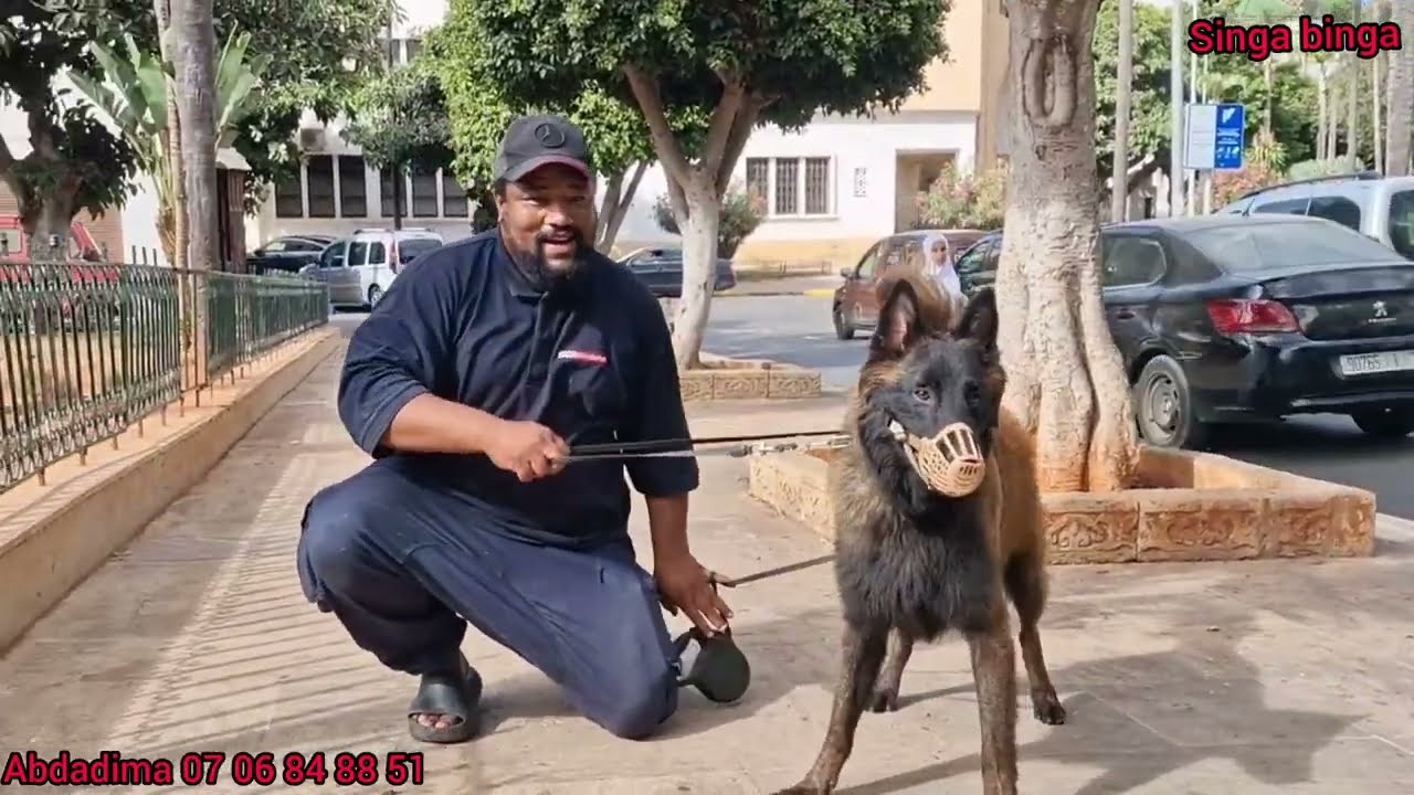 زيارة مفاجأة بدرب السلطان مع مولوع عبد العظيم وبطل مرحبا واحسن انواع الكلاب العمالقة🏆 وشراس💥 الرعب 🔞
