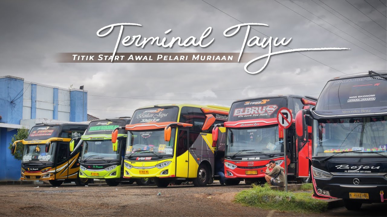HUNTING BIS DI TERMINAL TAYU | Start Awal Bis-Bis Muriaan !!