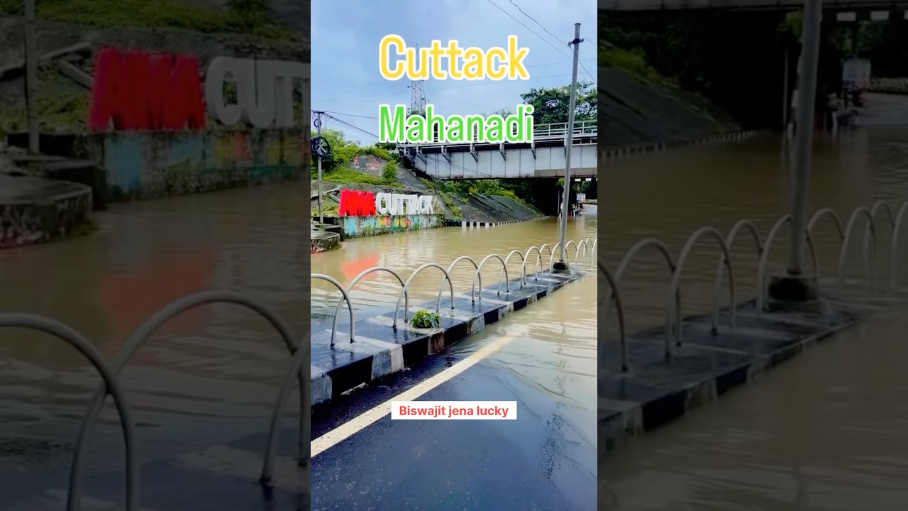 🌧️ Cuttack Flood 2026 😱 Mahanadi Water Reaches the Road! #shorts #cuttack #mahanadi