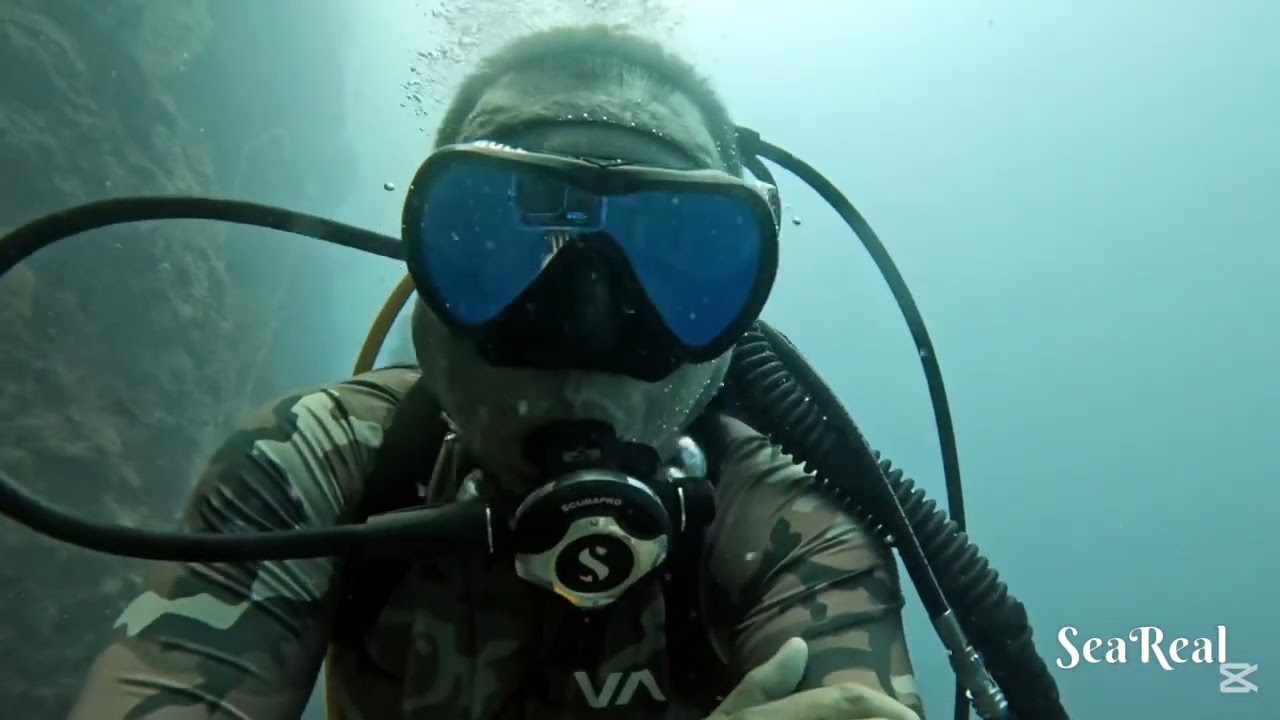 GARMIN MK2 AND FENIX 8 SOLAR - STABLE AT 100FT. | SCUBA DIVING
