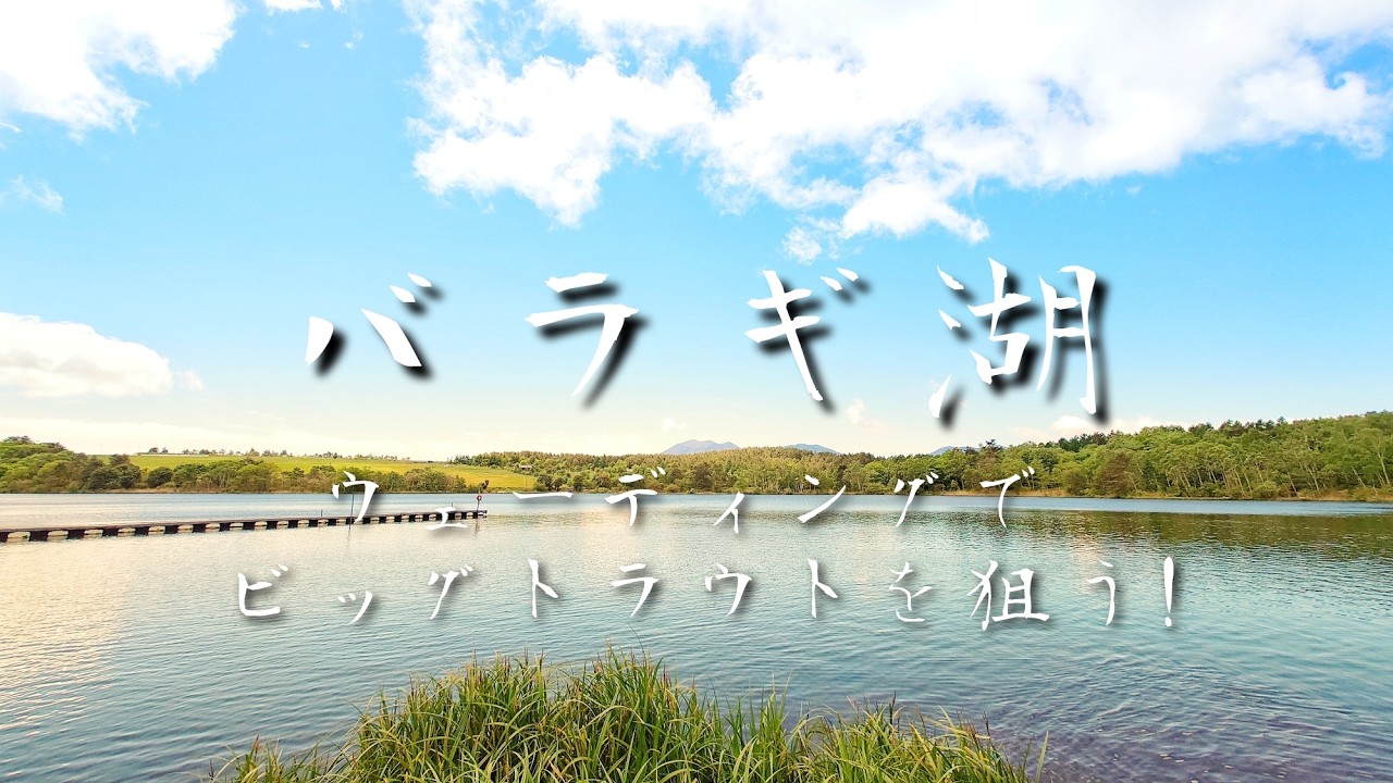 バラギ湖でビッグトラウトを狙う！ウェーディングでのフライフィッシング！Fly fishing for trout on Lake Baragi