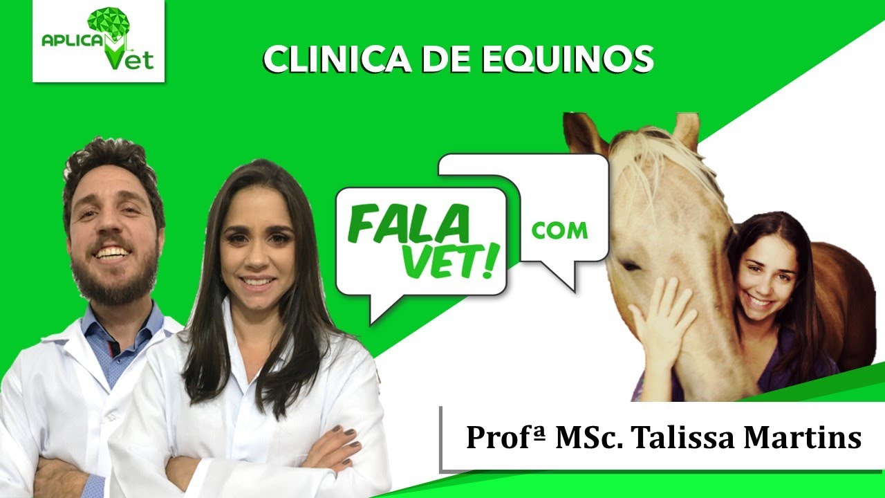 FALA VET - Profª Talissa Hilgert - Clínica de Equinos