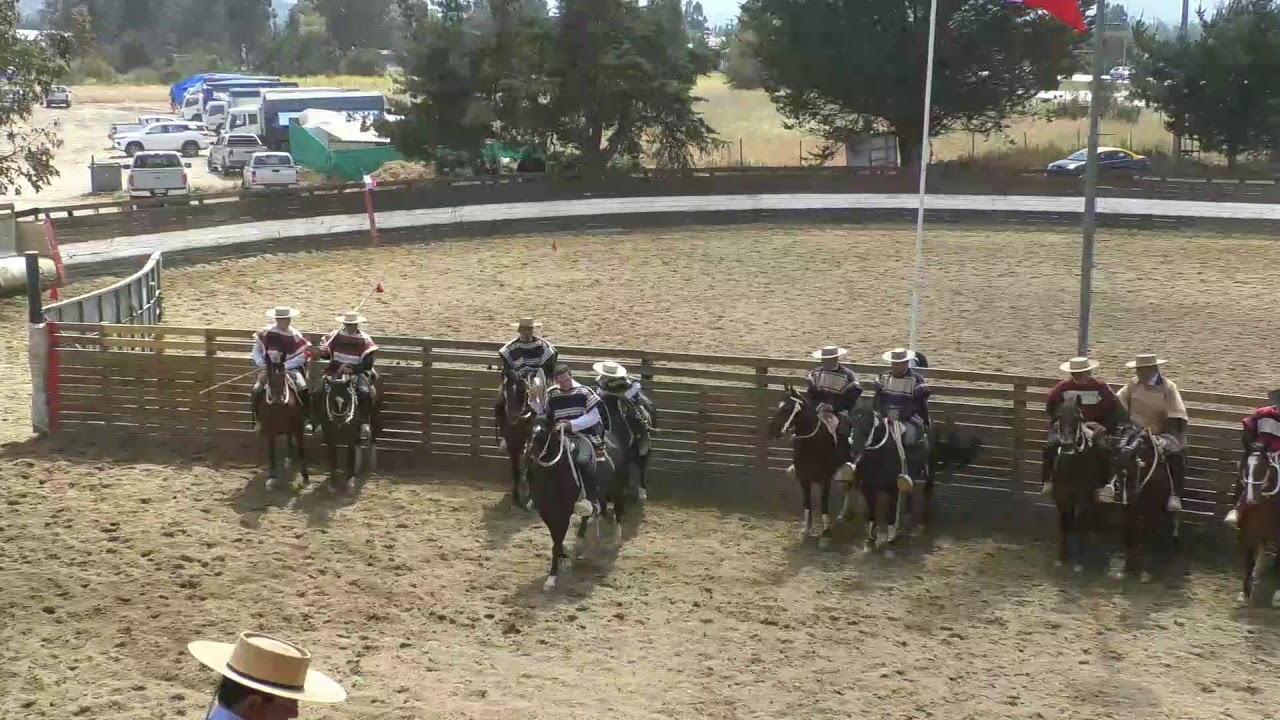 ASOC.LITORAL CENTRAL SERIE CABALLOS