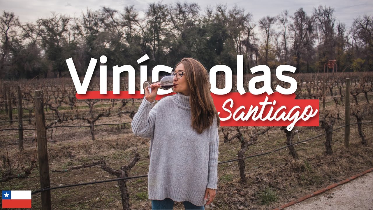VINÍCOLAS perto de Santiago pra ir de METRÔ | vários vinhos na Cousiño Macul e Aquitania 🍷