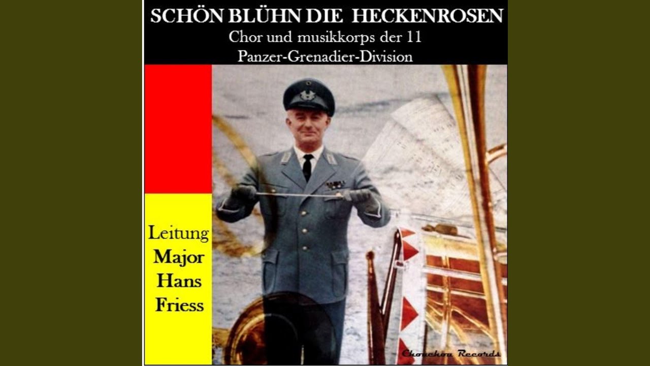 Auf der Lüneburger heide