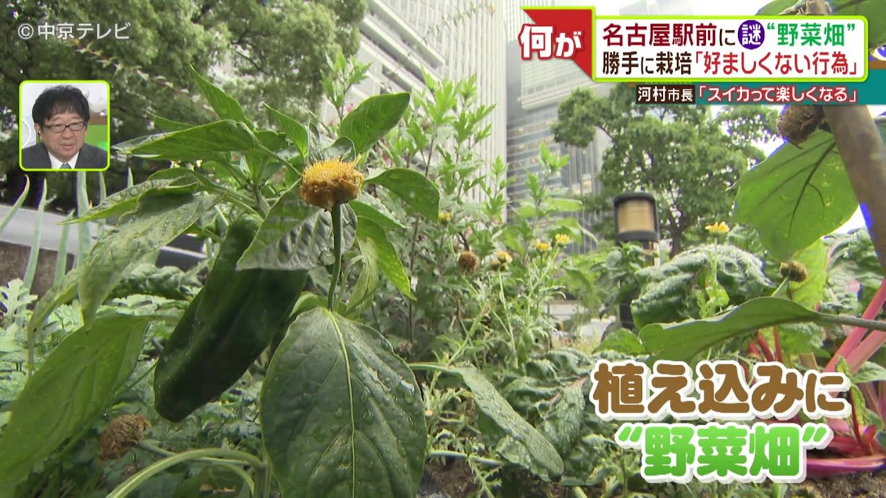 名古屋駅前に謎の