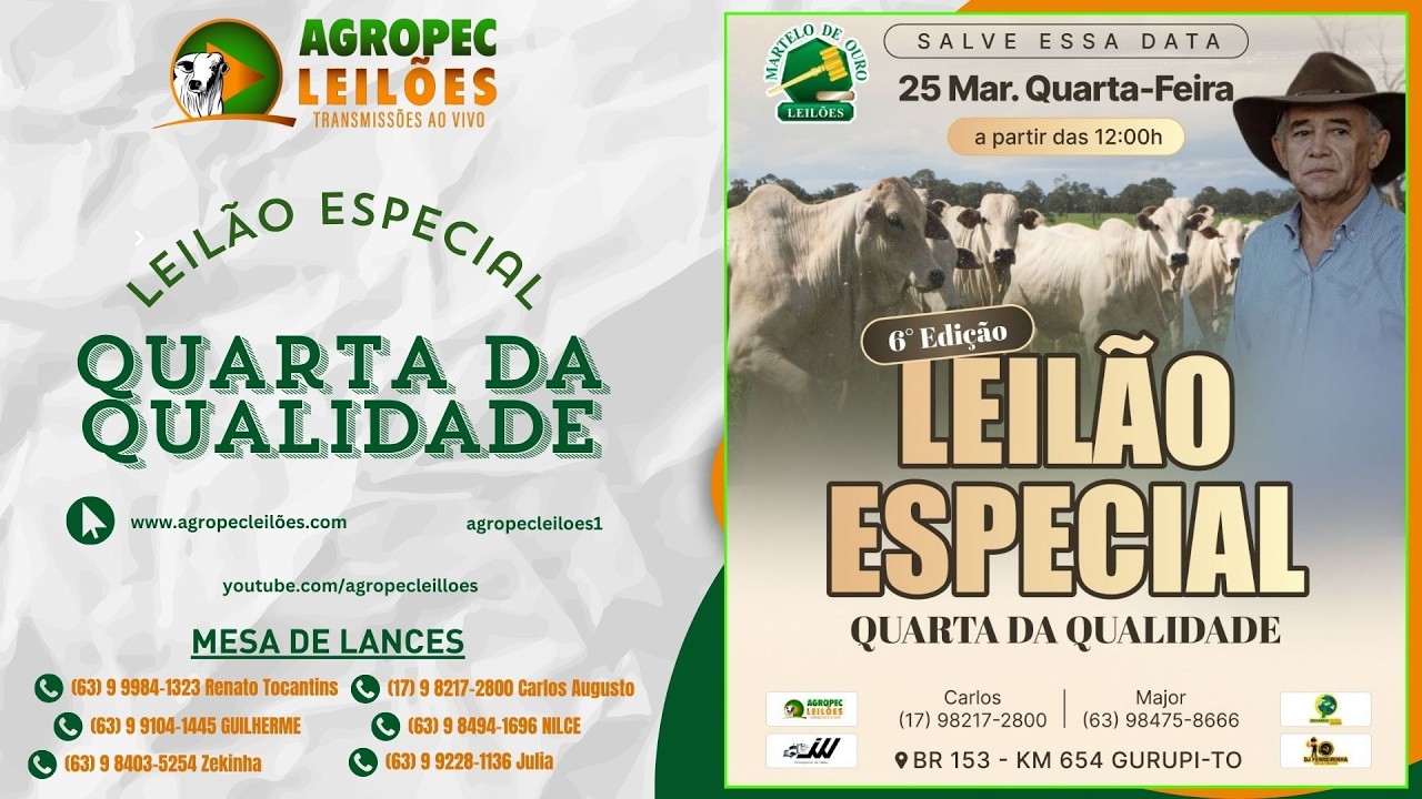 Agropecleiloes- AO VIVO -  LEIL&Atilde;O GADO DE CORTE | MARTELO DE OURO LEIL&Otilde;ES - GURUPI-TO - 25/03/26.