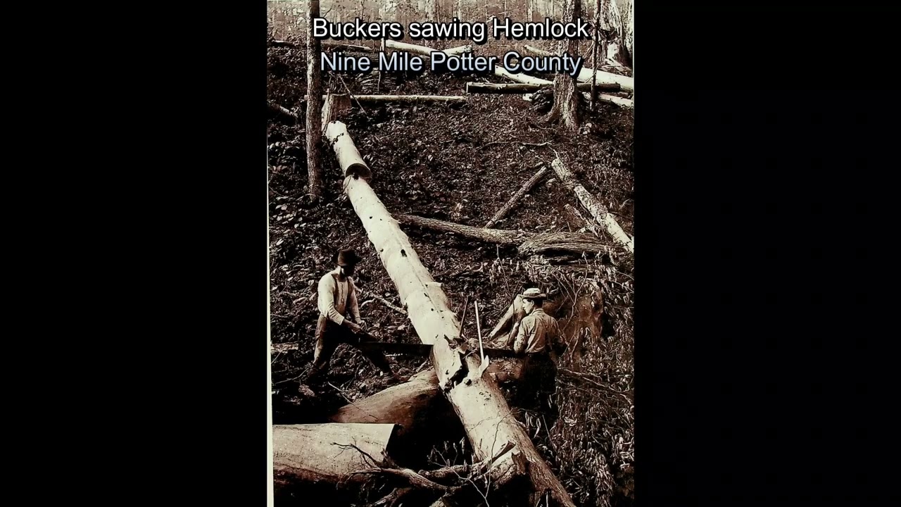 Logging days in Pennsylvania.
