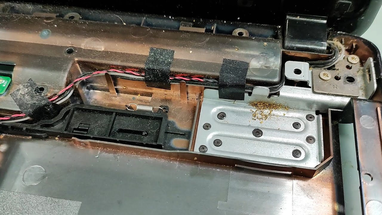 FORMIGUEIRO DENTRO DO NOTEBOOK... as formigas assustaram mais o REAL PROBLEMA FOI OUTRO!