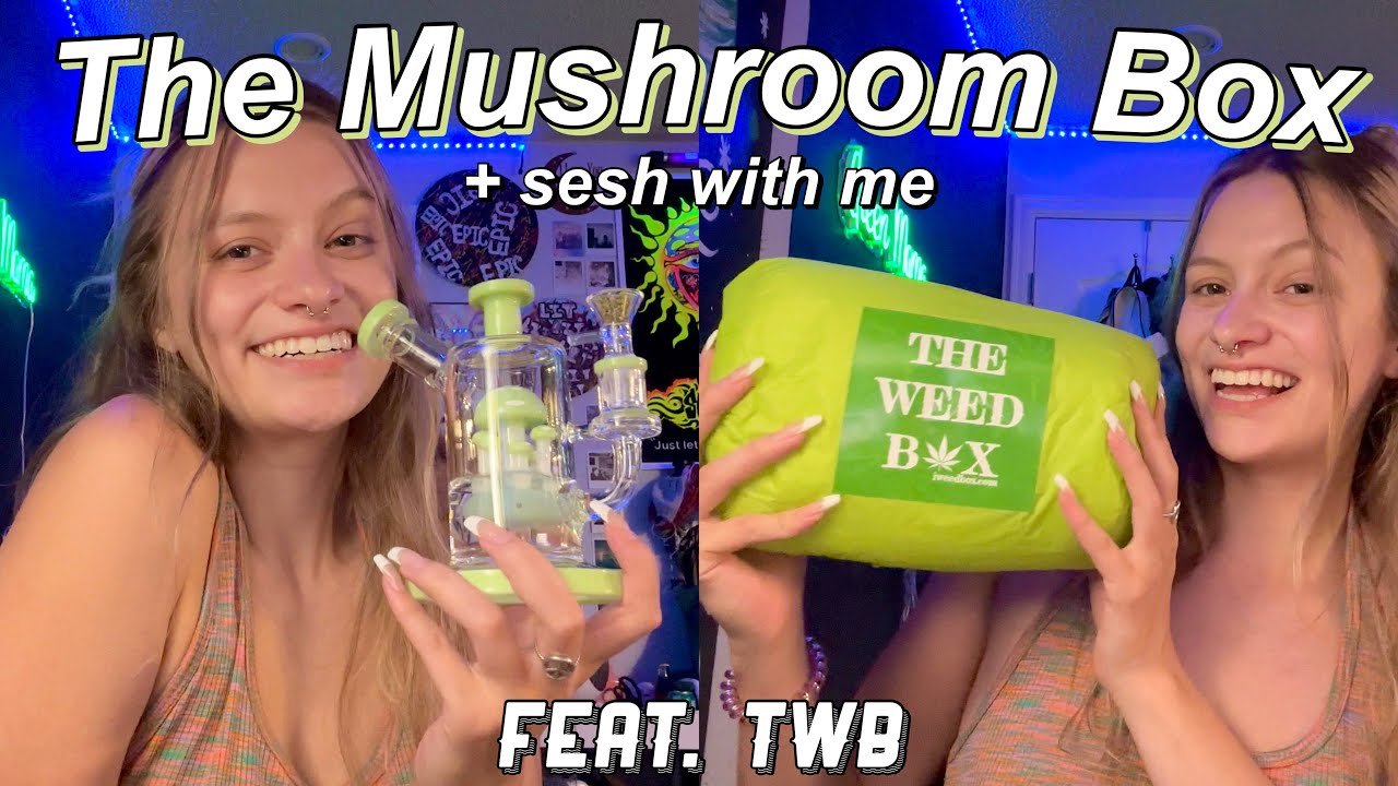 LATE NIGHT SESH + THE MUSHROOM BOX!