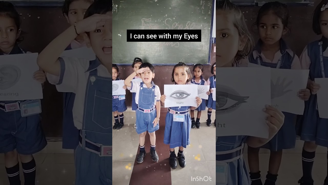 Five sense organs activity #kindergarten #activity #playschool