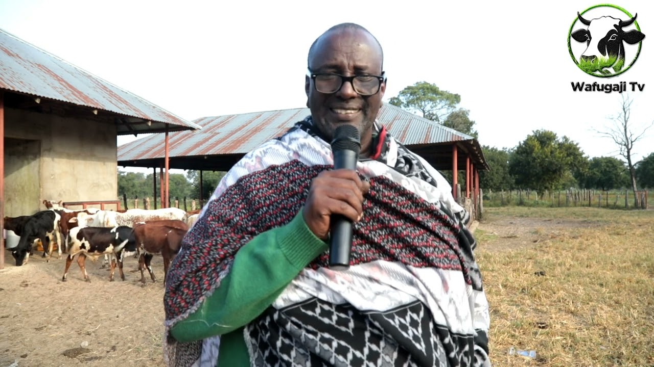 SHAMBA LA MFANO KWA WAFUGAJI MZEE SHAMBA KUBWA LONGIDO KISIMA CHA MAARIFA YA MIFUGO