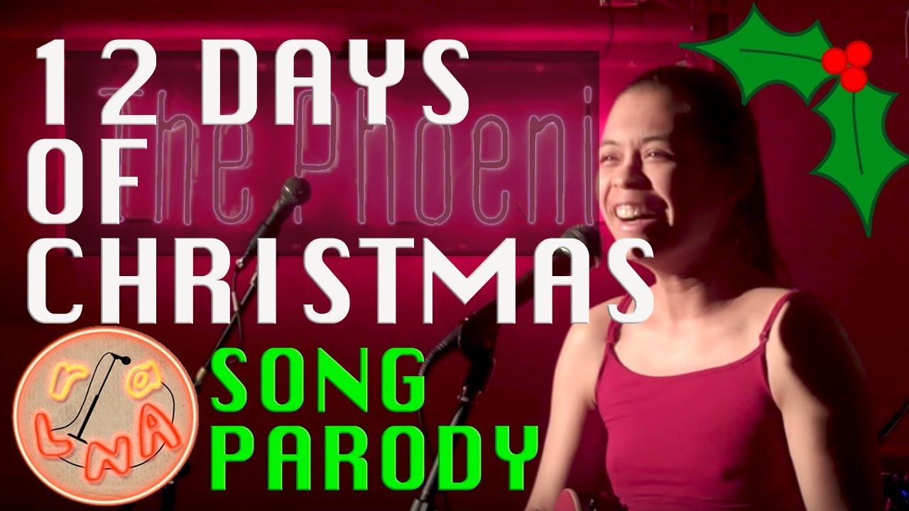 12 Days Of Christmas (Song Parody)
