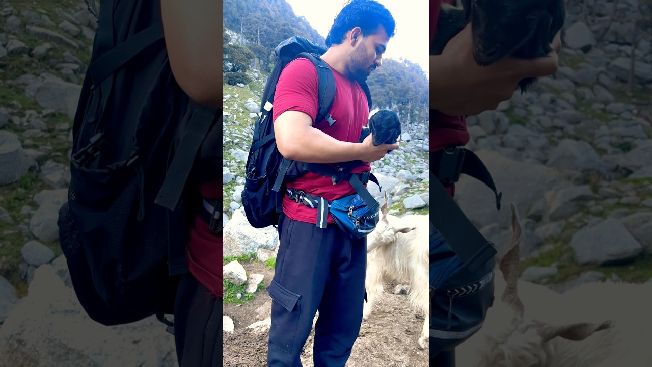 Kareri village trek #karerivillage #kareri #kareritrek #himachalpradesh #himachal #mountain