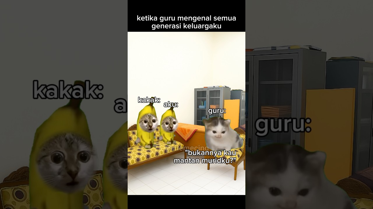 semuanya berawal dari kakek🤣 #meme #memekucing #kucing #kucinglucu #shorts #catlovers