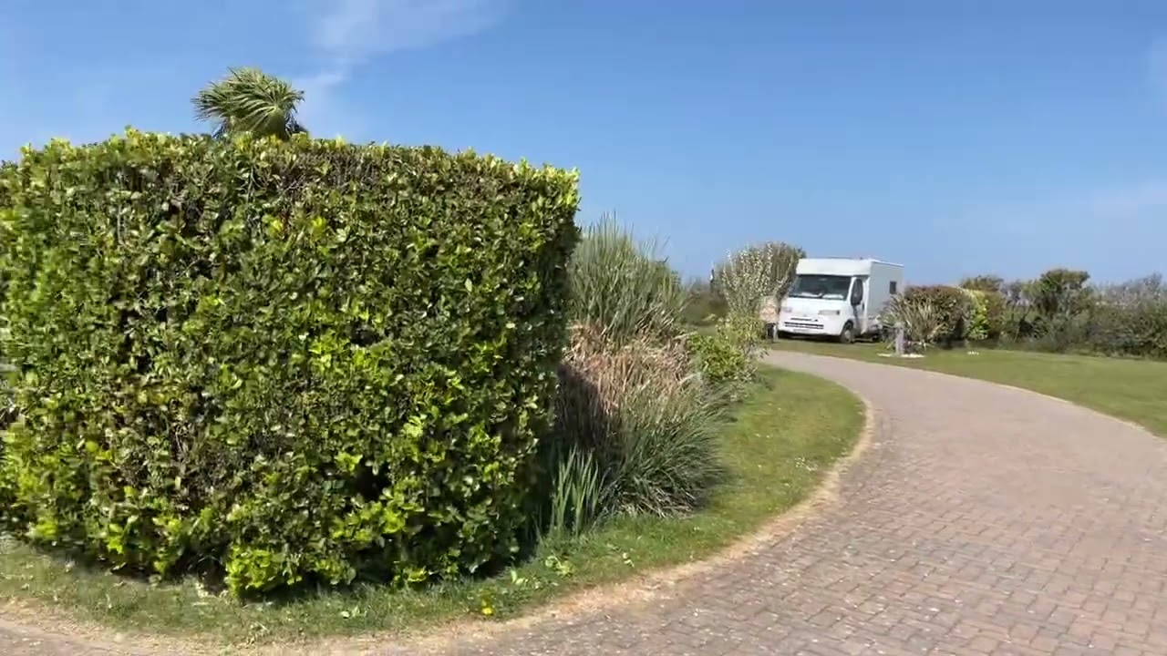 Gwithian farm camping