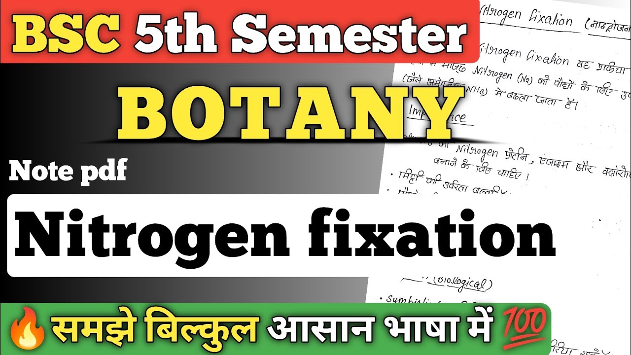 Nitrogen fixation hindi notes pdf || bsc 5th semester Botany ||