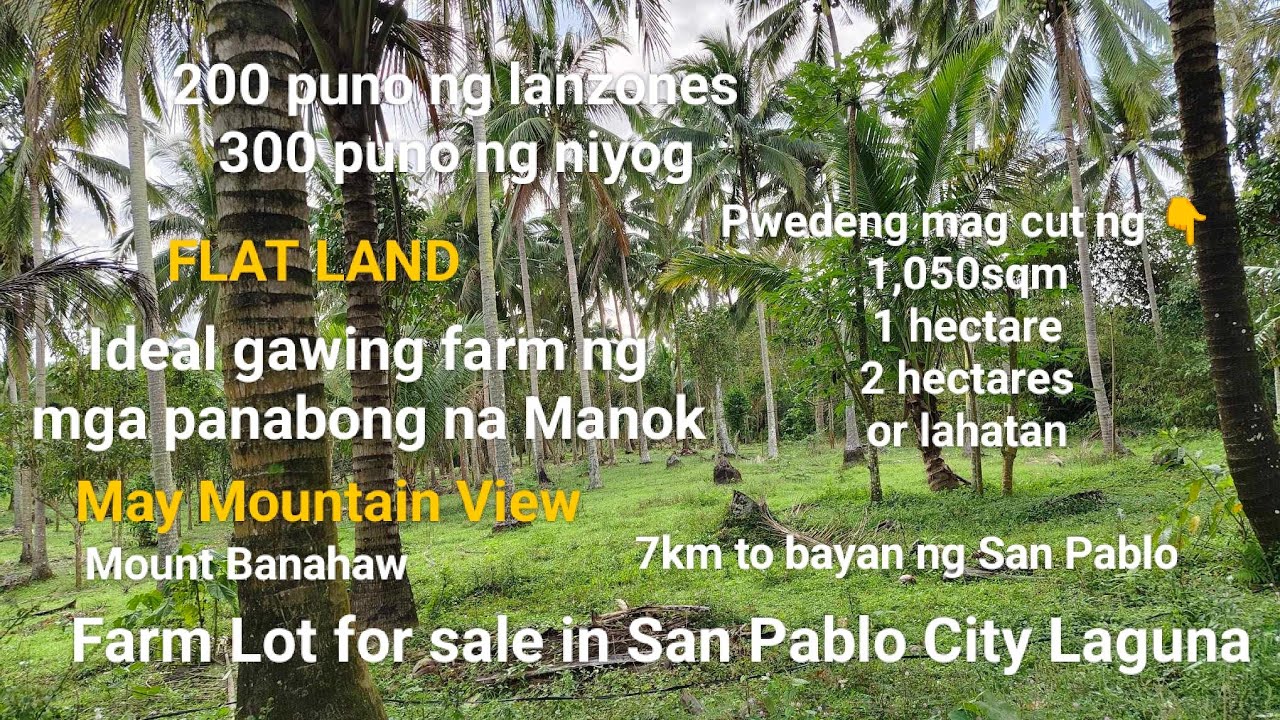 #Vlog274 FARM LOT FOR SALE  in SAN PABLO CITY LAGUNA | MAY MOUNTAIN VIEW | FLAT LAND | ❗SOLD❗