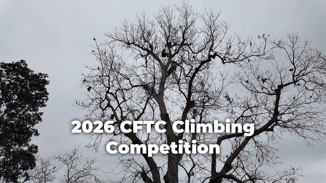 Matthew’s Work Climb - 2026 CFTC Climbing Competition