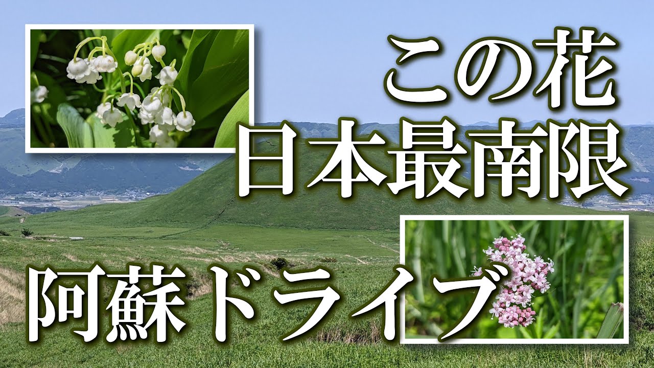 【熊本】阿蘇ドライブ　編　（ Vol.383 ）／しばしの間、癒しタイムです！【4K】